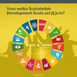 Duurzame ontwikkel doelstellingen sfi